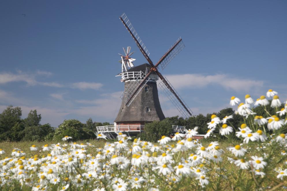 Föhr Föhr