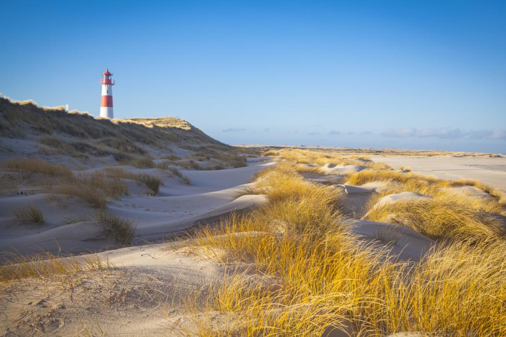 Lister Ellenbogen - Sylt Lister Ellenbogen - Sylt