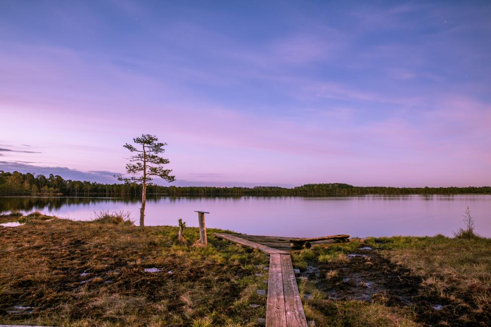 Estland Estland