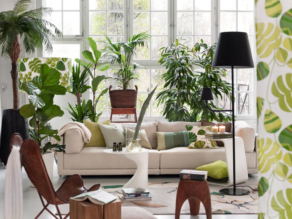 Indoor_Jungle+Sofa+Pflanzen