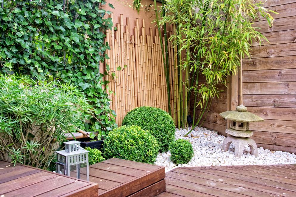 japanischer_Garten+Pflanzen+Bambus