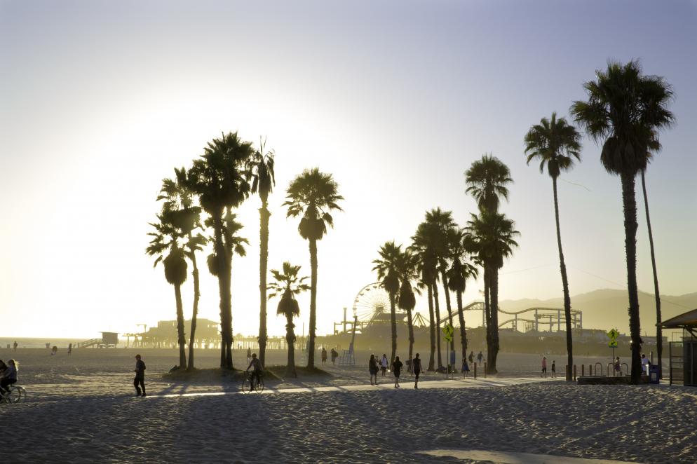 Venice Beach Venice Beach