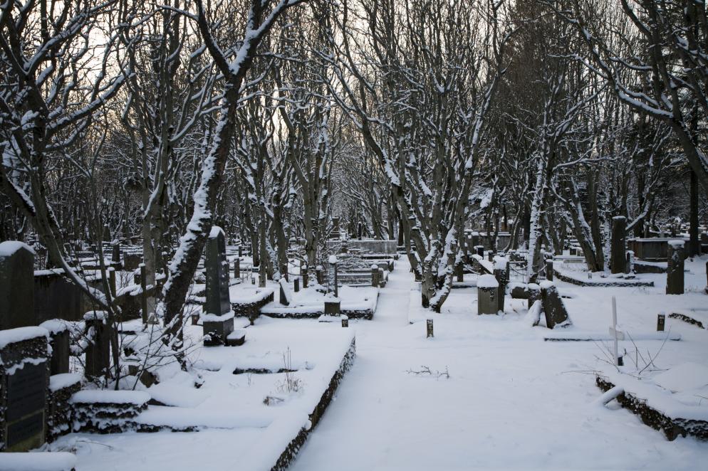 Friedhof Holavallagardur - Reykjavik Friedhof Holavallagardur - Reykjavik