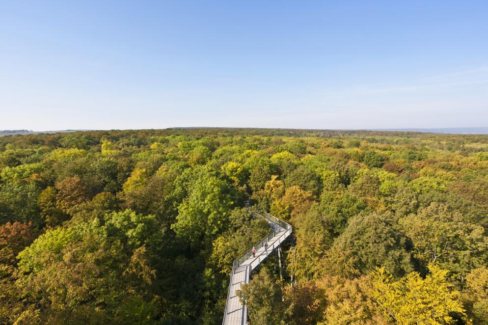 Baumkronenpfad Hainich - Bad Langensalza Baumkronenpfad Hainich - Bad Langensalza