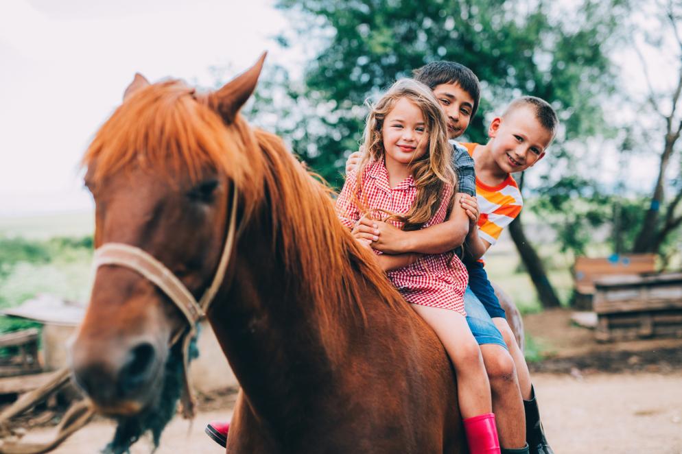 Pony+Kinder+Reiten