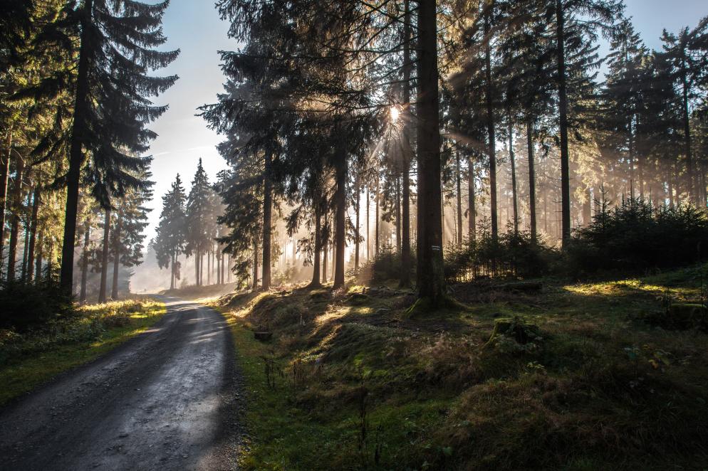 Hunsrück / Taunus Hunsrück / Taunus