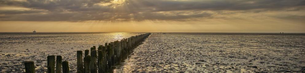 8558+Deutschland+Schleswig-Holstein+Dithmarschen,_Nationalpark_Wattenmeer_Emotion