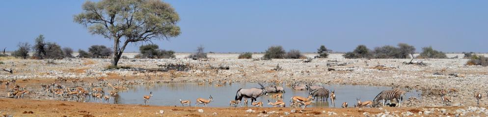Etosha Nationalpark Etosha Nationalpark