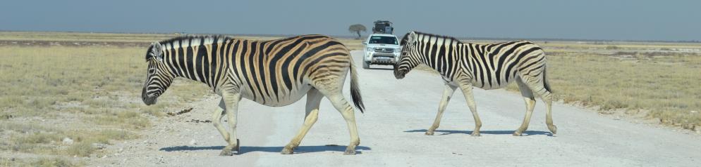 Etosha National Park Etosha National Park