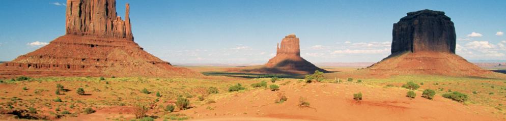 Arizona Arizona