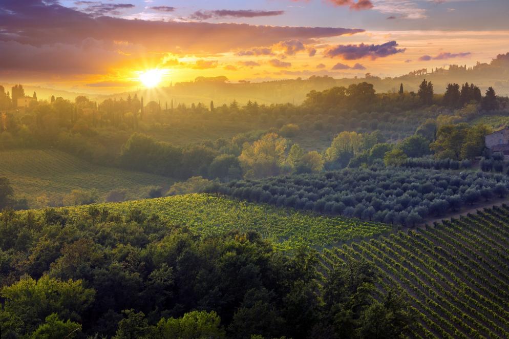 Italien: Toskana - Herbst