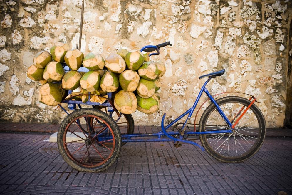 Dominikanische Republik: Fahrrad - Kokosnüsse