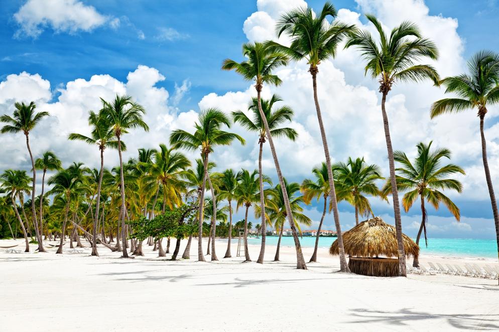 Dominikanische Republik: Punta Cana III