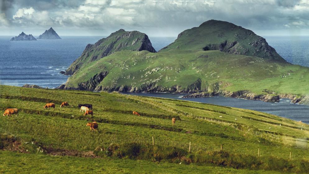 Irland: Michael Skellig - Insel