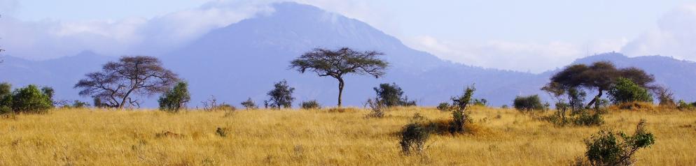Kenia- Emotion