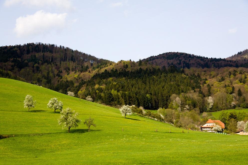 Deutschland: Schwarzwald