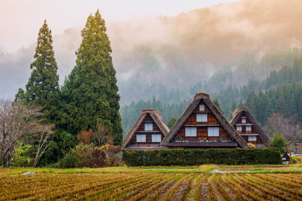 Japan: Shirakawa - Dorf