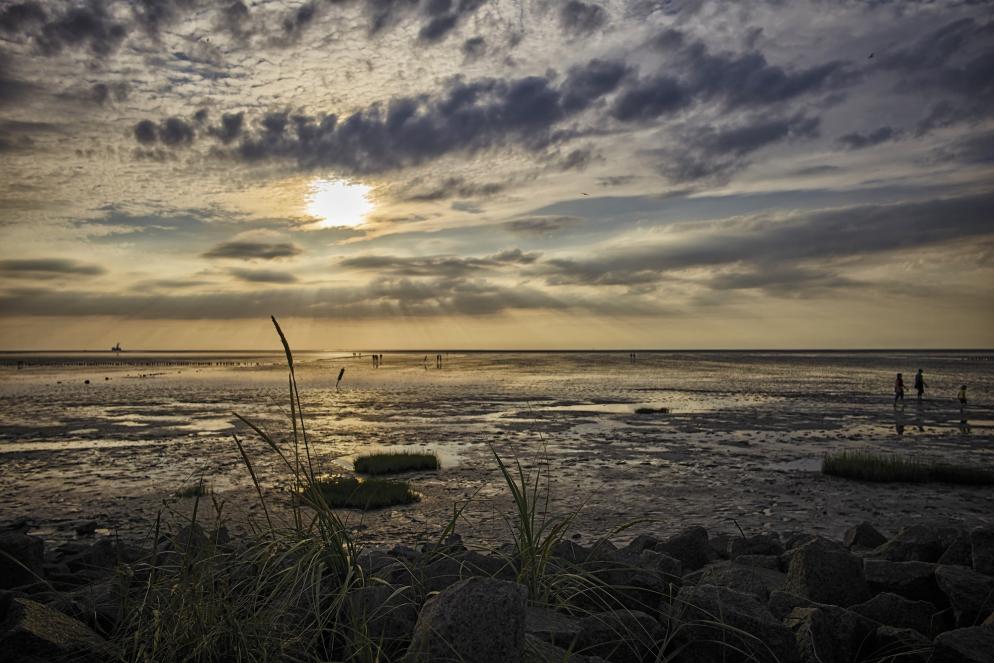 Deutschland: Schleswig-Holstein - Friedrichskoog