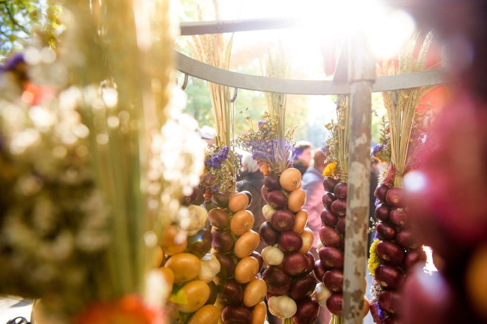 Deutschland: Weimar - Zwiebelmarkt