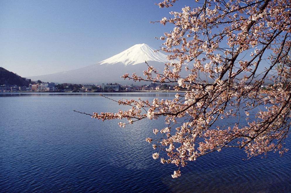 Fuji - Fujinomiya Fuji - Fujinomiya