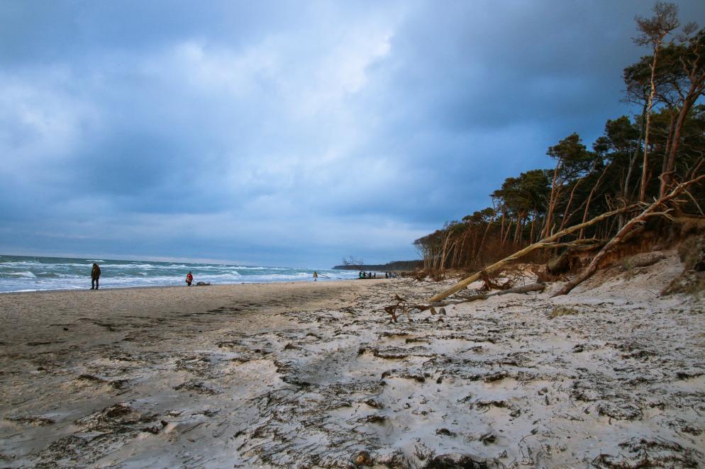 Deutschland: Darß Born Weststrand