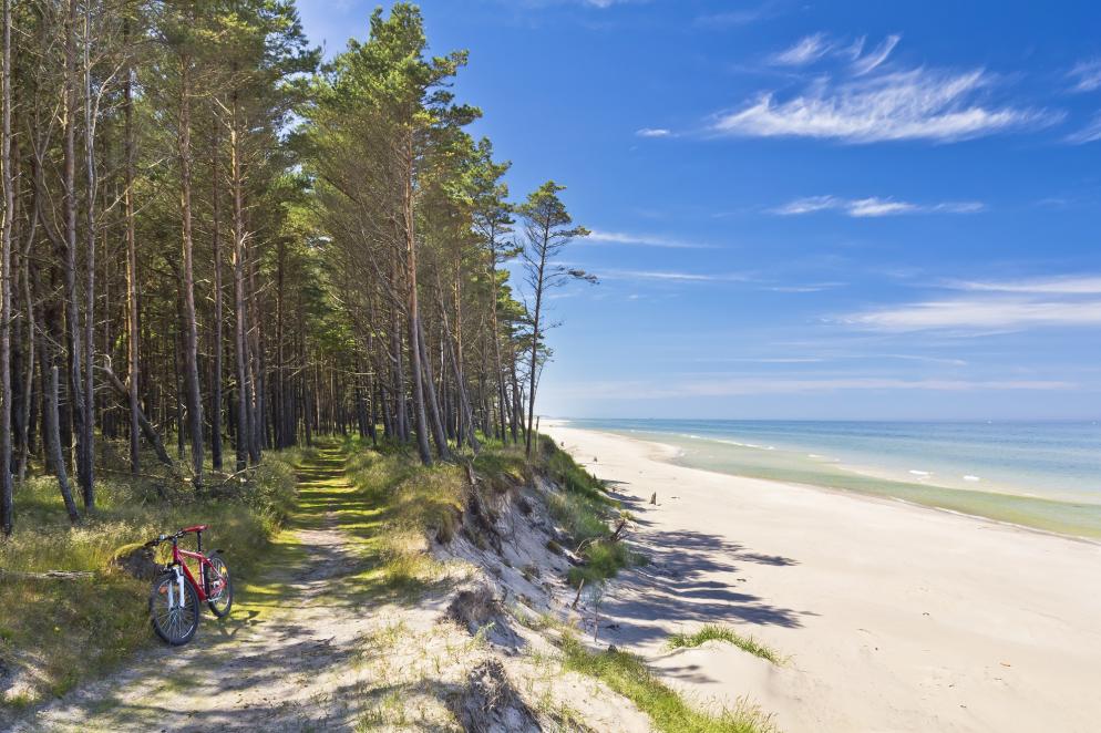 Aktivurlaub - Deutschland - Rügen - Fahrrad
