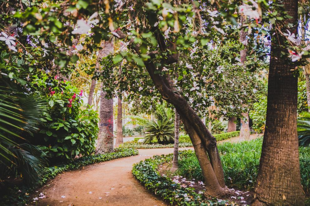 Gründe Málaga: Park - Blumen - Bäume