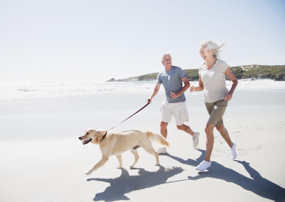 Sonstiges: Strand Hund Paar Senioren
