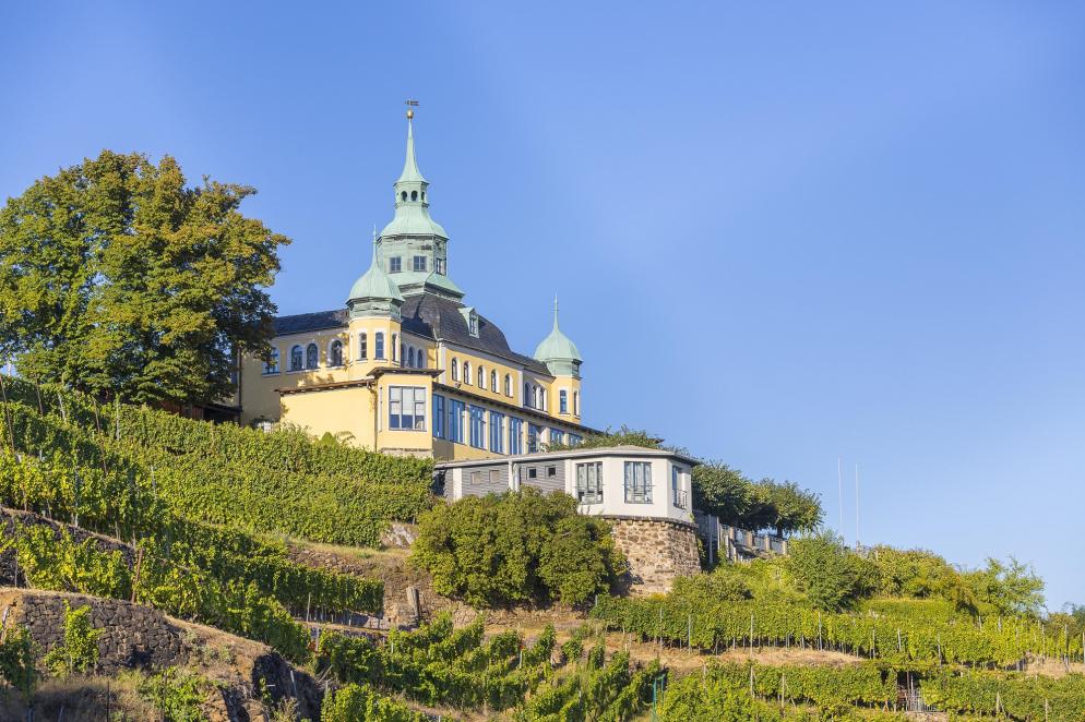 Deutschland-Sachsen-Radebeul-Weinberg