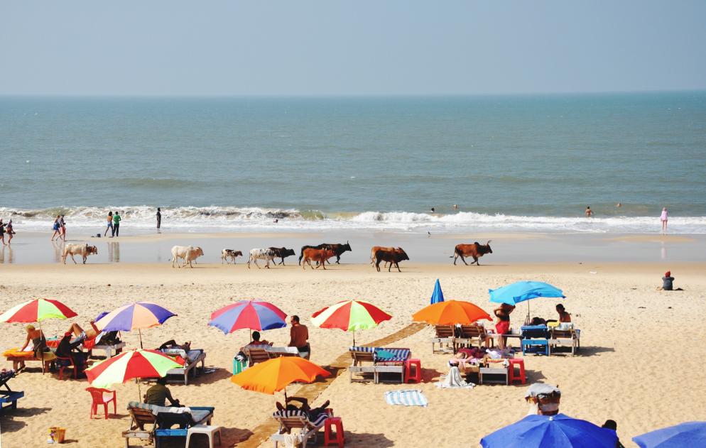 Palolem Beach - Goa Palolem Beach - Goa