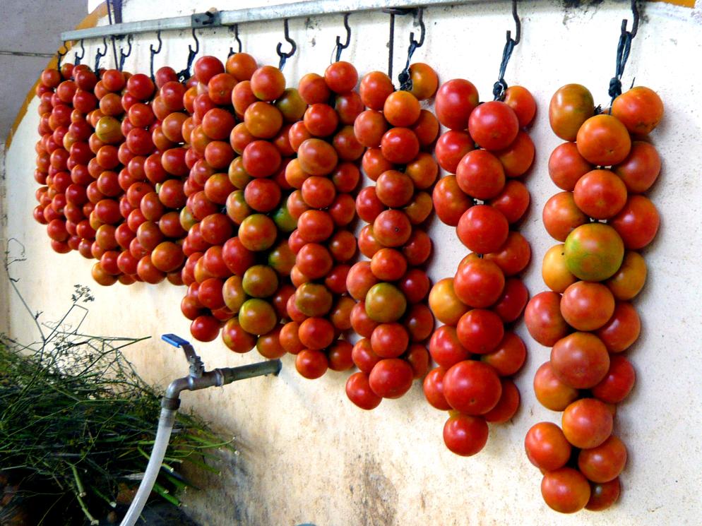Mallorca Mallorca