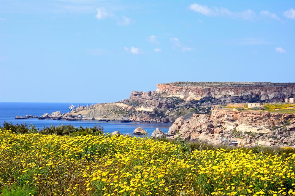 Malta Malta