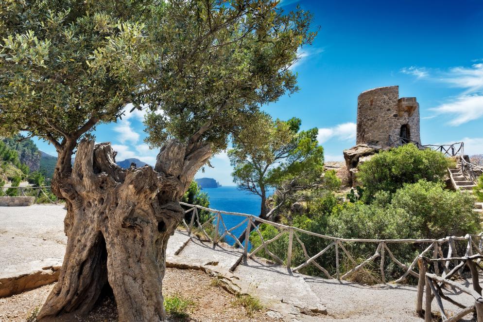 Mallorca Mallorca