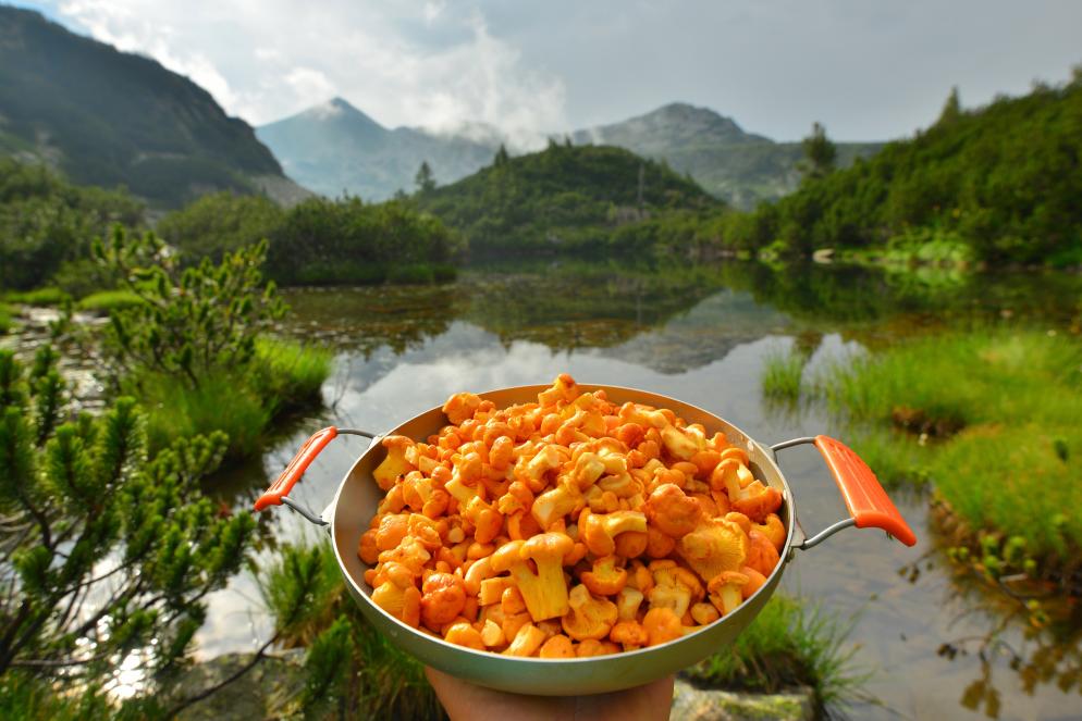 Essen+Bulgarien+Eintopf+Natur