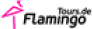 logo_flamingo.png